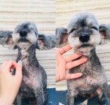 땡자네묭실