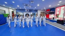 국가대표최강태권도