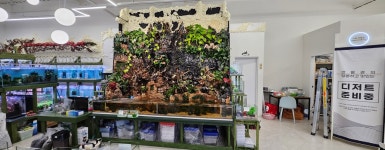 엔젤아쿠아펫가든 & 카페,만월경 군산수송점