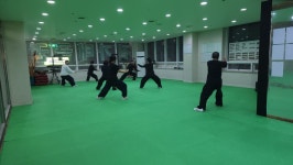 진가태극권 삼선무관