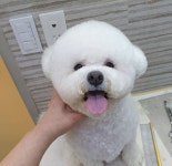 땡자네묭실