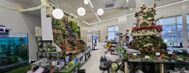 엔젤아쿠아펫가든 & 카페,만월경 군산수송점