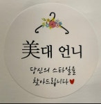미대언니