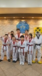 한국체대태권도