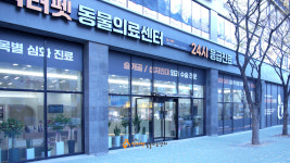 닥터펫동물의료센터