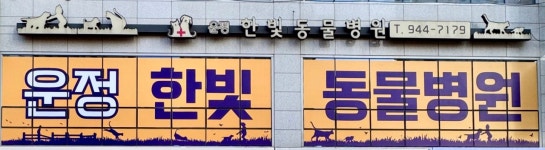 운정한빛동물병원