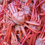 동광냉동수산어업회사법인