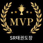 SR태권도장