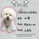 멍티움연수점