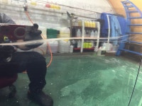 사계절세차장