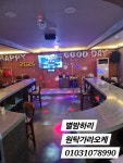 별밤하리