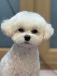개땡큐