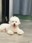 개땡큐