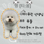 멍티움연수점