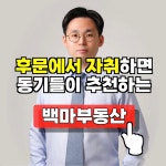백마공인중개사사무소