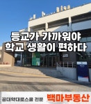 백마공인중개사사무소