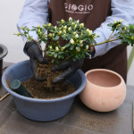 지오지오플로리스트학원 서울점