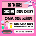 남양DNA점핑&힐링