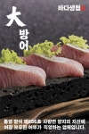 바다생협 대광어 강남본점