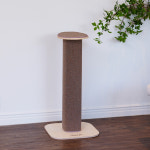 지비일렉트로닉스