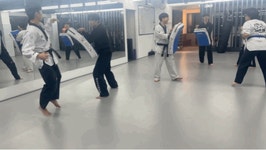 대한미르태권도