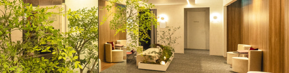 데이뷰의원 영등포