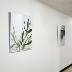 비상주사무실 공유오피스 와글