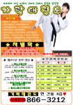 가락태권도