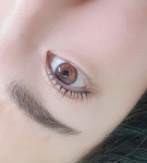 온뷰티샵 눈썹/속눈썹