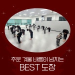더혼합기도우슈 성안도장