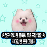 의정부애견호텔SM펫살롱