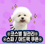 의정부애견호텔SM펫살롱