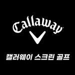 캘러웨이 스크린골프 세종점