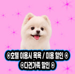 의정부애견호텔SM펫살롱