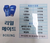 리얼메이드복싱