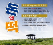 돈앤떡