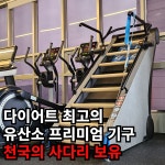 에이스운동과학센터 헬스 & PT 성연점