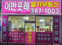 단지내딸기공인중개사사무소