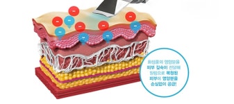 힐링진여화&에스테틱