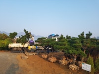 금성농원
