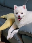 호텔 뭉