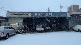 프로카센타