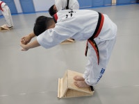 T1태권도