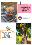 챠밍국제국내결혼정보