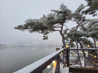 카페더라온