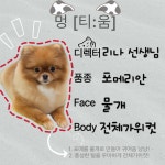 멍티움연수점