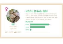 오즈캣 DMC점 마포은평