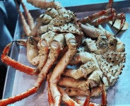 해송대게 기장본점