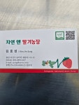 자연앤딸기농장