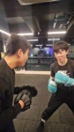 TSQ BOXING